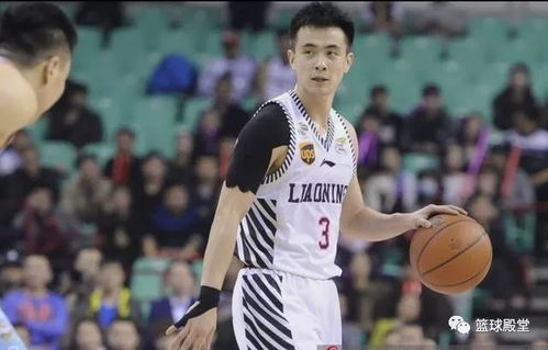 鞍山双亲筑梦人—赵继伟父母与他篮球之路的起点