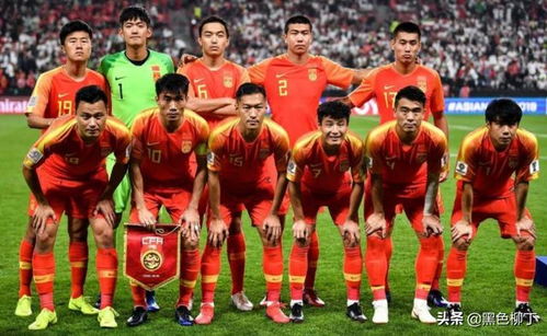 2026年亚洲杯参赛国家名单揭晓，群雄逐鹿，亚洲足球新格局