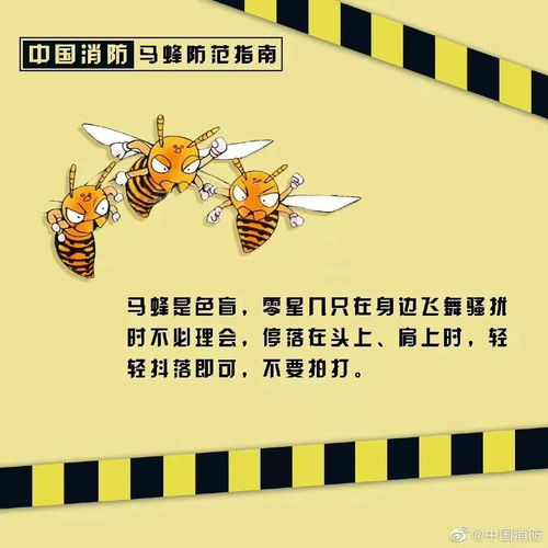蜂蜇急救指南，被黄蜂蛰了肿得厉害怎么办？分步处理与就医警示