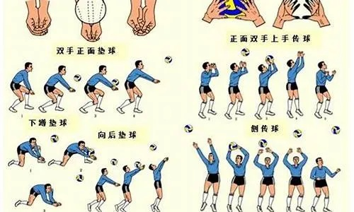 排球可以用头吗？从规则到实战的全解析