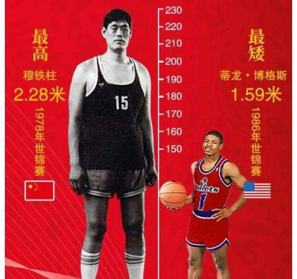 巨人肩膀上的篮球梦，从吴冠希的208厘米，看中国篮球的身高密码